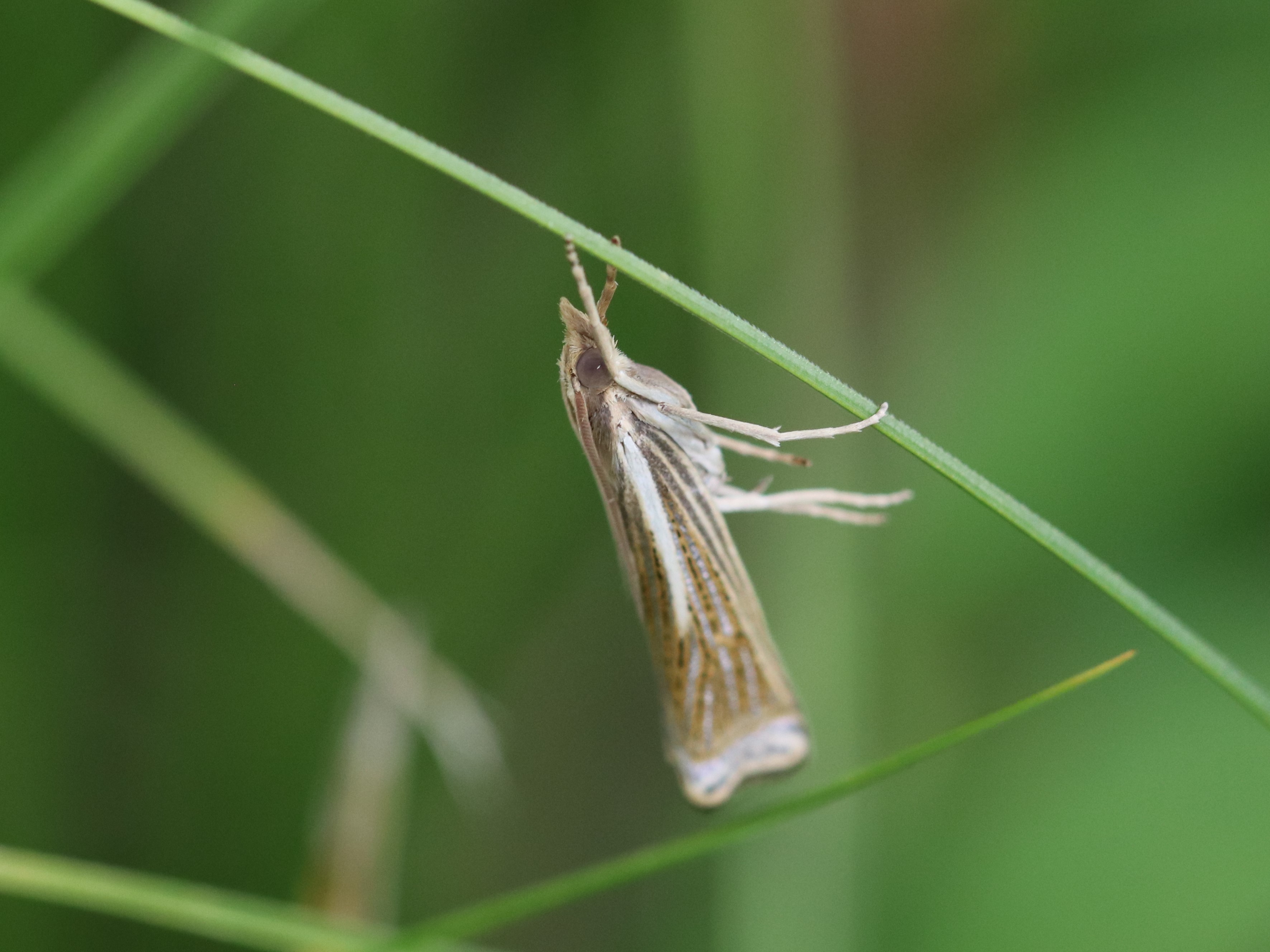 photo_1